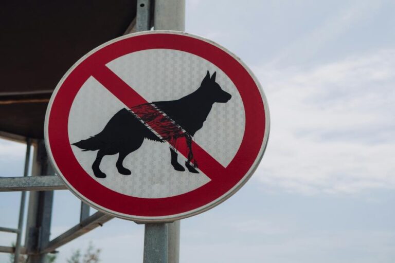 Can You Own A Capybara In California Understanding Exotic Pet Laws can-you-own-a-capybara-in-california-understanding-exotic-pet-laws