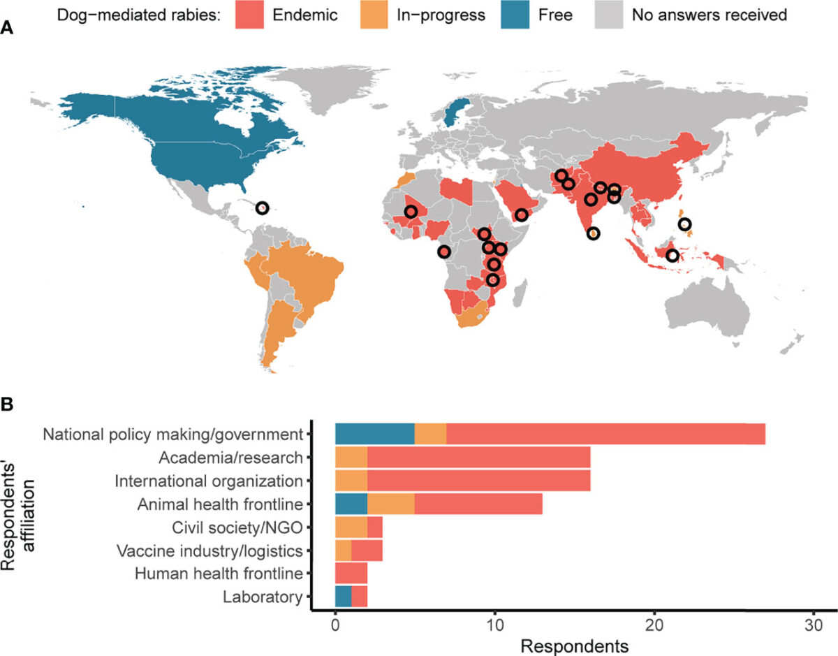 Health and Safety Concerns in the U.S.: Rabies Risks, Vaccination ...